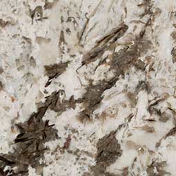 bianco antico granite - Long-Beach